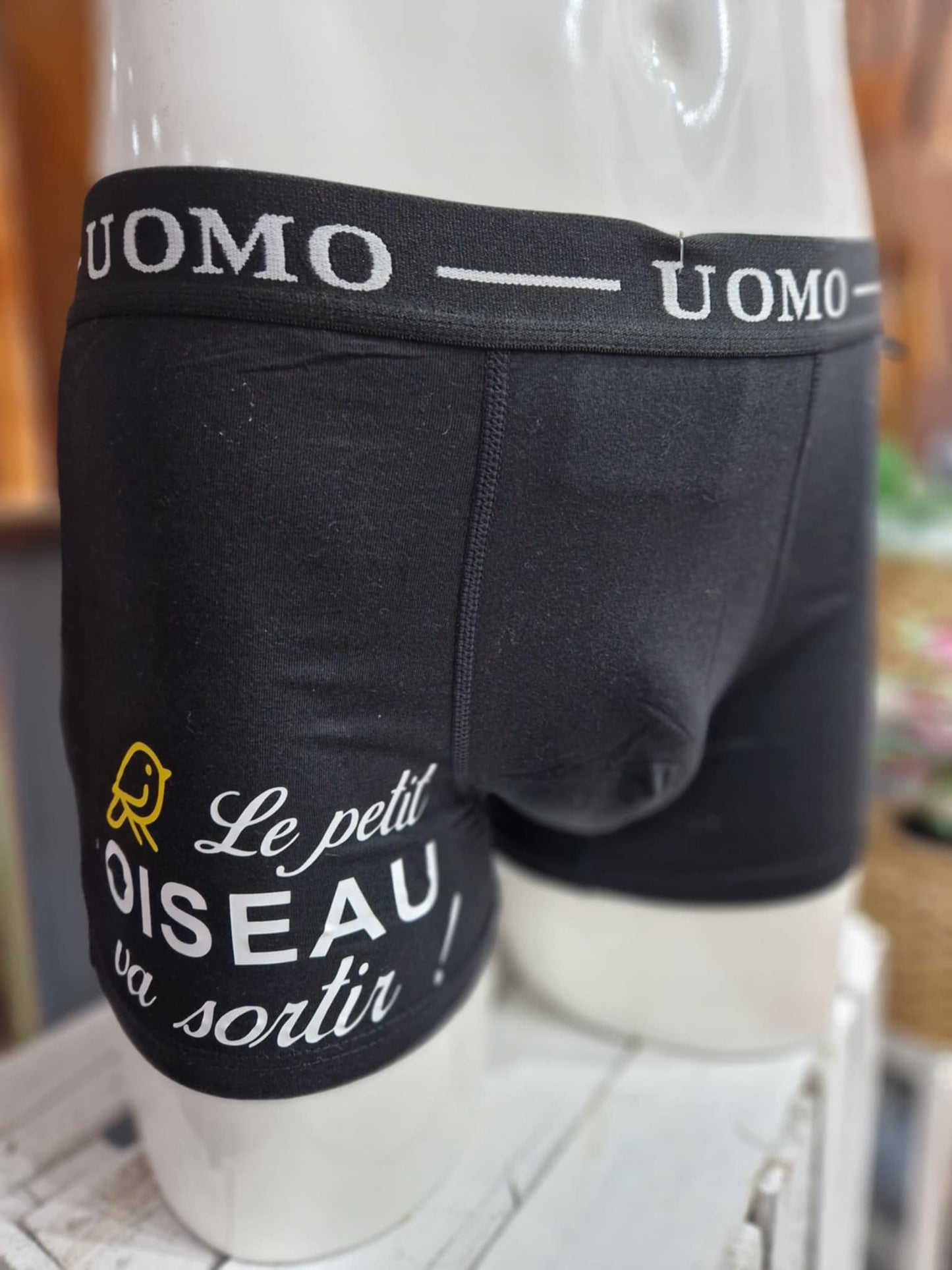 Boxer « Le petit oiseau… »