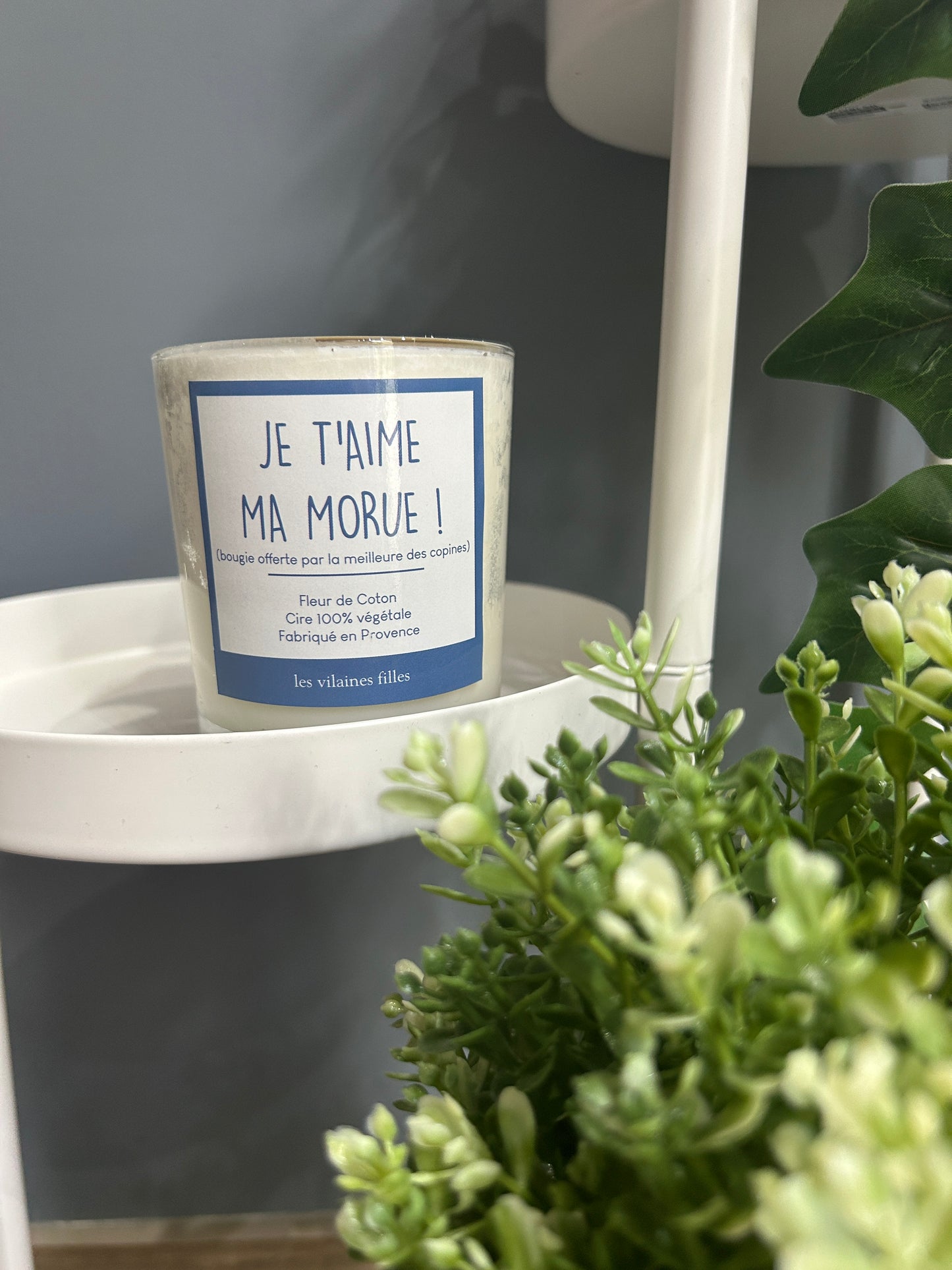 Bougie « Je t’aime ma morue! »