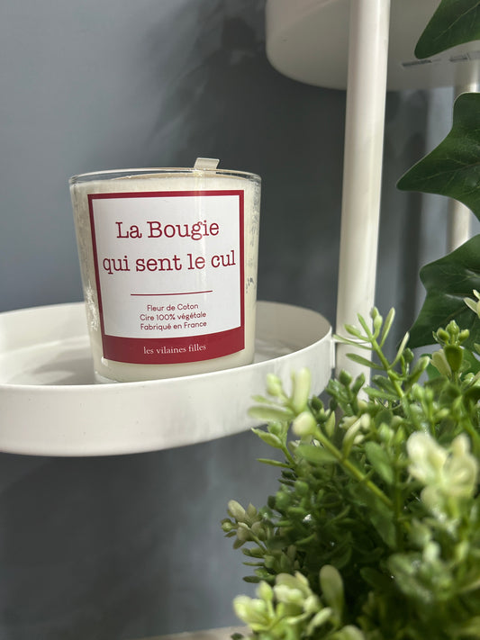 Bougie « La bougie qui sent le cul »